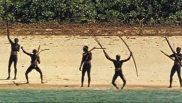 como son los sentineleses