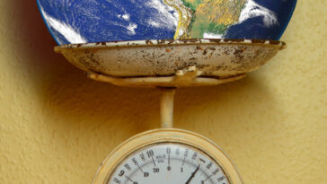 cuanto pesa la vida en la tierra