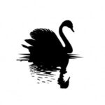 que es la teoria del cisne negro