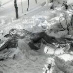 misterio en el paso daytlov