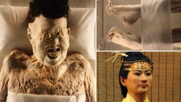 la momia mejor consevada