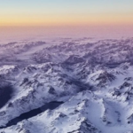 plantas en el hielo de groenlandia