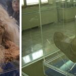 descubiertas momias de sal en iran