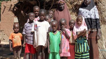 porque los pobres tienen mas hijos