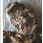 asesinatos en atacama