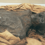 canibalismo en europa