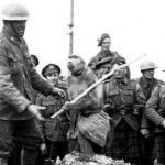 un babuino lucho en la guerra