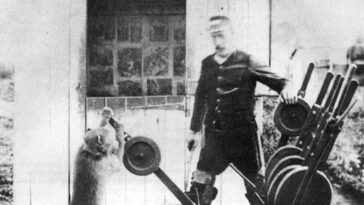 el babuino que trabajo con trenes