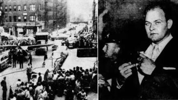 borracho consigue aterrizar avioneta