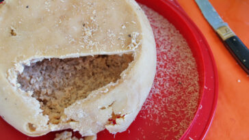 queso con gusanos ilegal