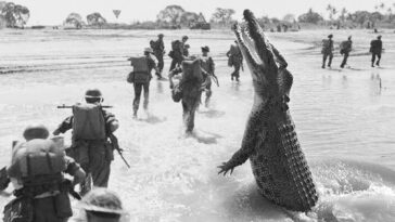 masacre de isla de Ramree