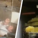 mago muere aplastado