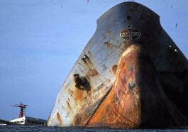 tragedais ecologicas